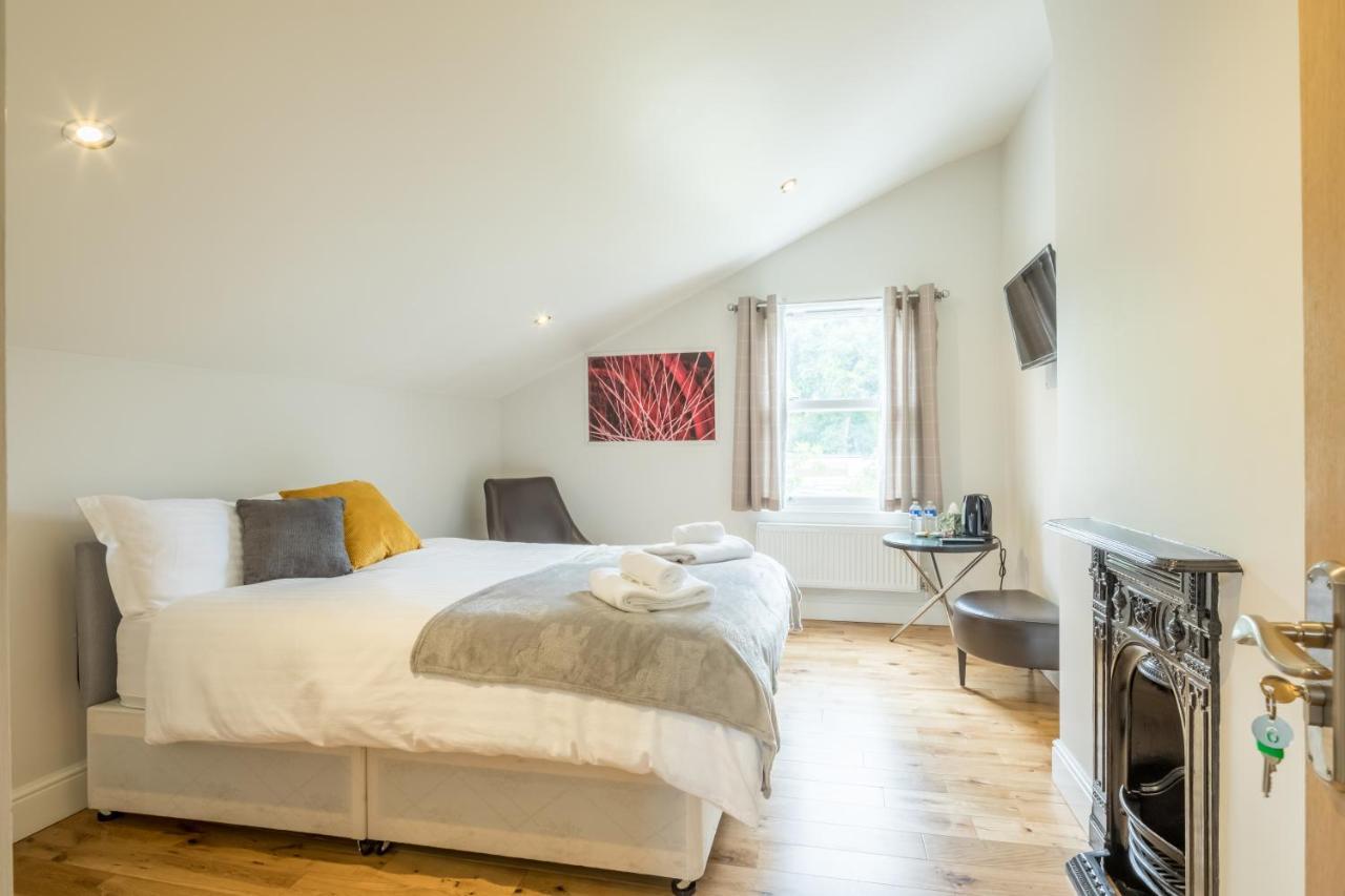 לונדון Tulse Hill Luxury Cosy Rooms מראה חיצוני תמונה